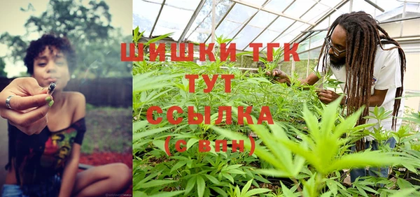 амф Алзамай