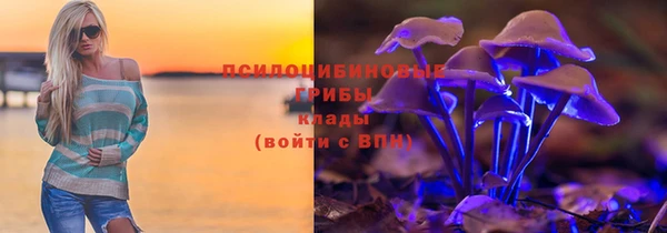 амф Алзамай