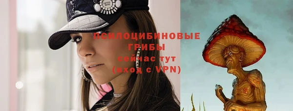 ГАЛЛЮЦИНОГЕННЫЕ ГРИБЫ Бердск